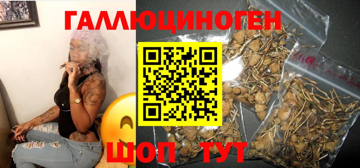 Галлюциногенные грибы Magic Shrooms  Галлюциногенные грибы ЛСД  Усть-Илимск  Вход с VPN 